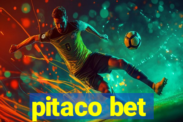 pitaco bet